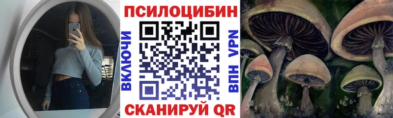 закладки  Углегорск  Галлюциногенные грибы мицелий 